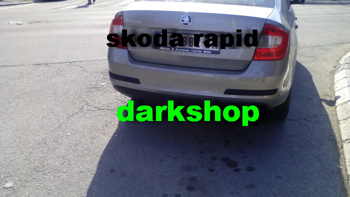 Skoda RAPID (2012-) lajsne vrata+ lajsne branika